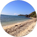 Zweifel S. profile picture